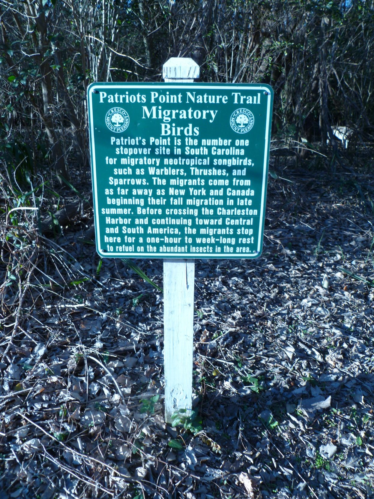 pat point bird sign